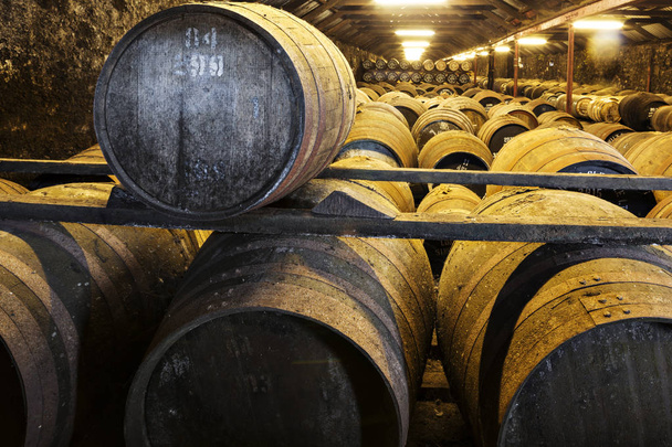 Aging old wooden barrels and casks in cellar at whisky distiller - Photo, Image