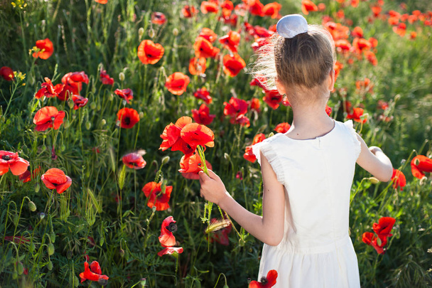 back of beautiful little girl collecting flowers on a slope with blooming poppies in spring - Foto, Imagem