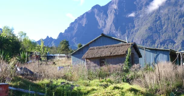 English garden with white fence, bridge, tropical vegetation and wooden hostel in mountain village  - Footage, Video