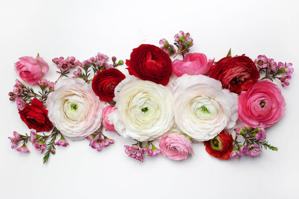 composición floral con flores rosas de Ranunculus sobre fondo blanco. Puesta plana
 - Foto, imagen