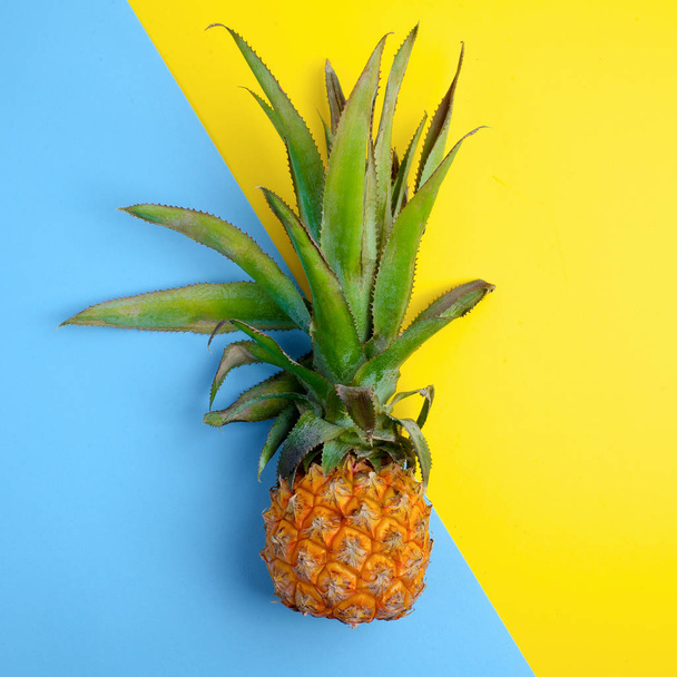 Pineapple fruit on a bright yellow and blue background - Фото, изображение