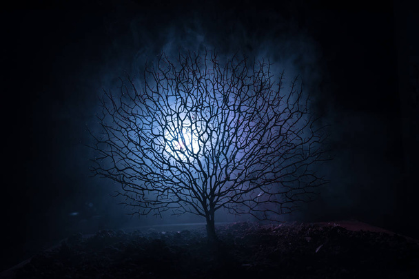 Sylwetka przerażające Halloween drzewo z twarzą horror na ciemny mglisty stonowanych tło z księżyca na tylnej stronie. Drzewo straszny horror z zombie i demon twarze. - Zdjęcie, obraz