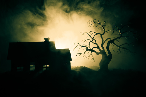 Παλιό σπίτι με ένα φάντασμα τη νύχτα με τρομακτικό δέντρο ή εγκαταλειφθεί στοιχειωμένο σπίτι του τρόμου στο τονισμένο ομιχλώδη ουρανό με το φως. Παλιό κτίριο mystic στο νεκρό δέντρο δάσος. Απόκριες έννοια. - Φωτογραφία, εικόνα