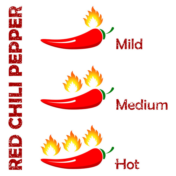 Red Chili Pepper icon. Indicator pepper fire strength scale. Red Chili Pepper with flame on white background - Vector, Image