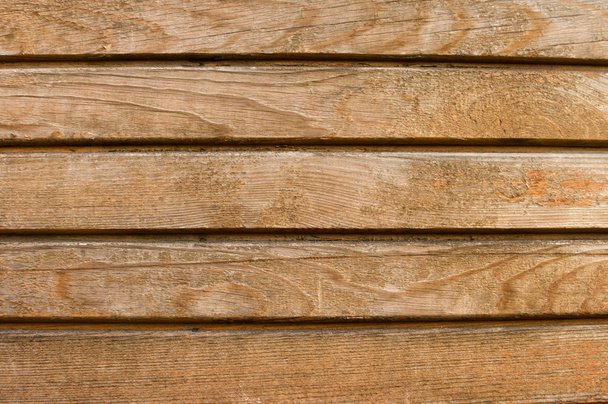 Un fragmento de madera wal
 - Foto, Imagen