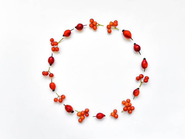Bright berries of dog rose and rowan berries in round frame on white background. Flat lay, top view - Foto, immagini