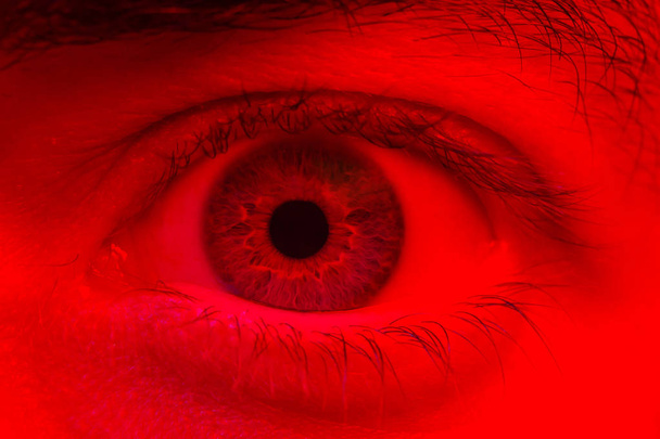 Макрос на людське око виражає шокований сюрприз і вираз страху
 - Фото, зображення