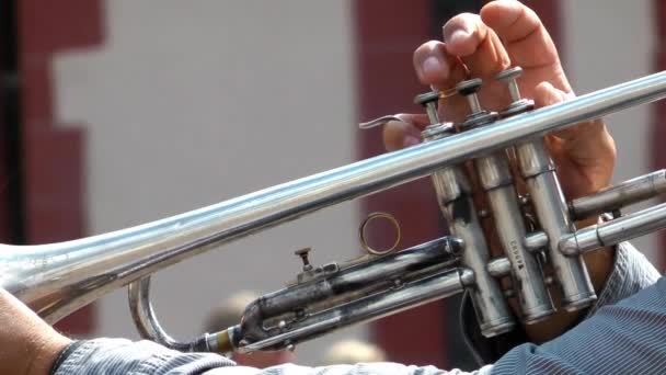 Trompeten spielen im Freien - Filmmaterial, Video