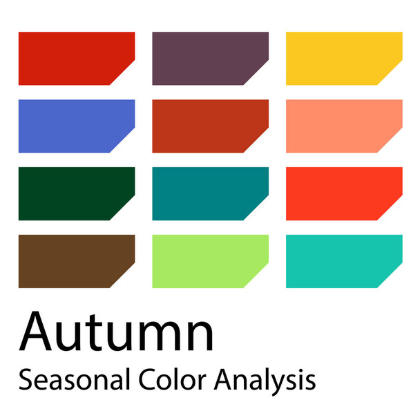 Guia de cores vetorial estoque. Paleta de análise de cor sazonal para o tipo de outono. Tipo de aparência feminina
 - Vetor, Imagem