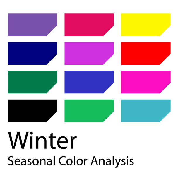 Stock vector de guía de color. Paleta de análisis de color estacional para el tipo de invierno. Tipo de apariencia femenina
 - Vector, imagen