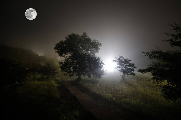 Beau paysage nocturne de grande pleine lune se levant sur la route de montagne avec colline et arbres, concept mystique
 - Photo, image
