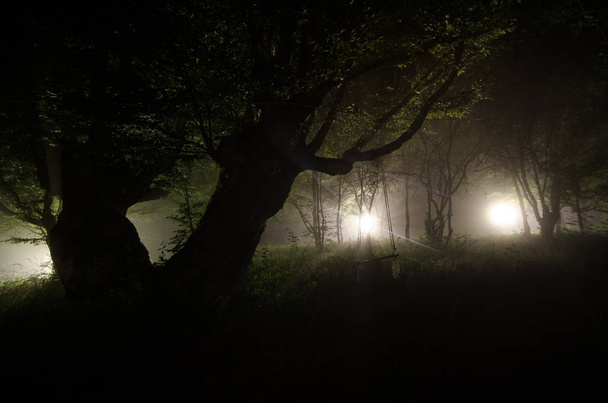 Ночной туман в деревне. Загадочно. Лунный свет. Освещение качели возле дерева во дворе. Свет с задней стороны деревьев. Мистическая ночь за городом. Свет в тумане
. - Фото, изображение