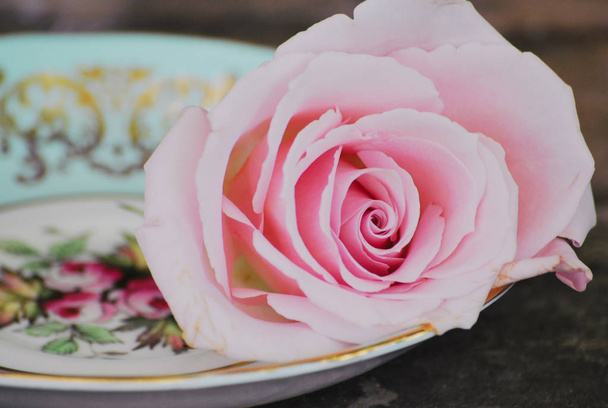 Un bodegón decorativo de taza de té de porcelana y platillo con rosas, sobre un fondo rústico de madera envejecida. La copa es un coleccionable de Paragon China titulado "A Su Majestad la Reina". Una hermosa imagen para el amor, la boda y los diseños de jardín
.  - Foto, imagen