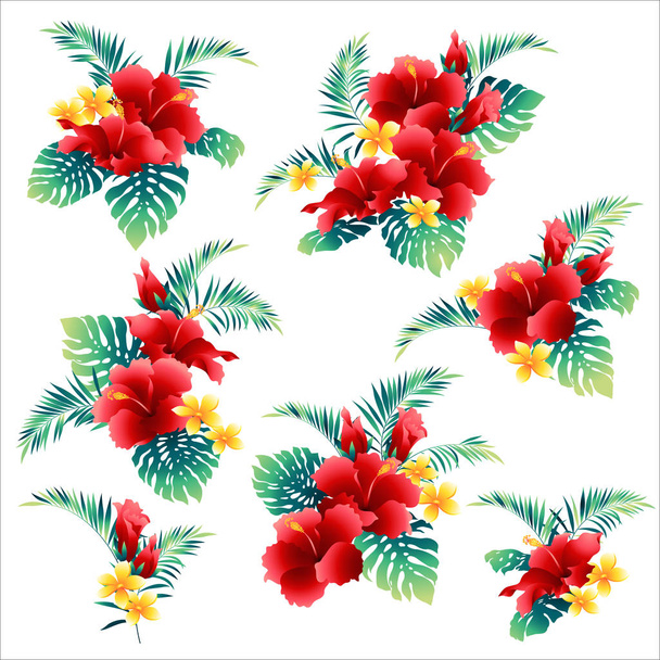 Hibiscus flower illustration,I drew Hibiscus for designing it,It is a vector work, - Vector, Image