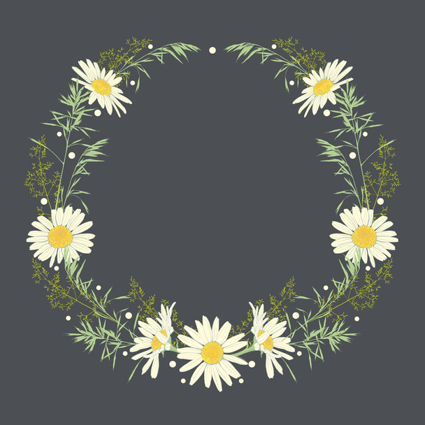 Hand drawn wreath with camomile and herbs. - Вектор,изображение