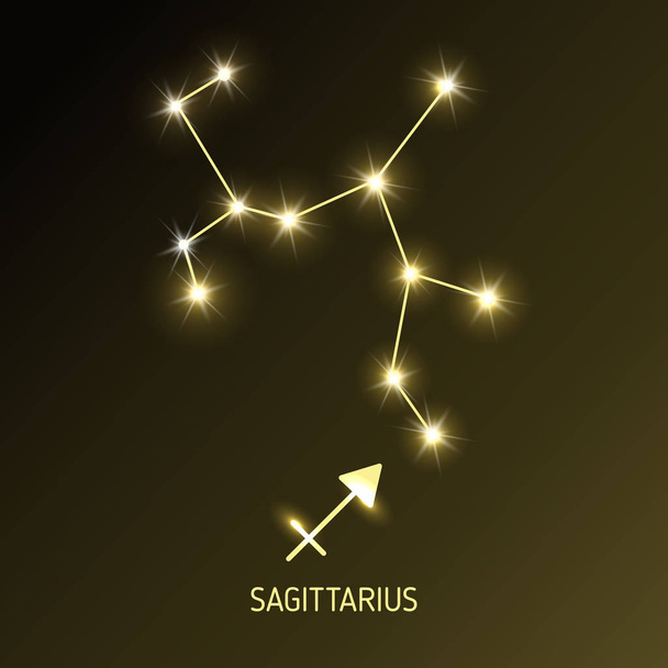 Set zodiac sign. - Vector, Imagen