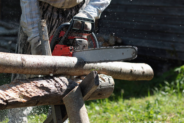 chainsaw to cut firewood - Photo, Image