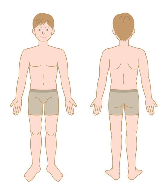 Vorder- und Rückseite des stehenden männlichen Körpers. isolierte Abbildung auf weißem Hintergrund - Vektor, Bild