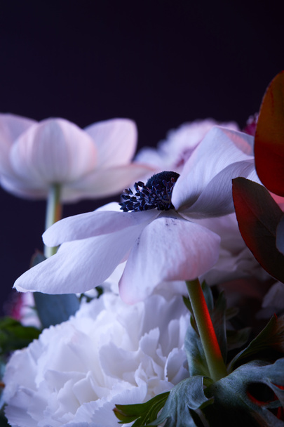 暗い緑の葉と美しい花の花束 ロイヤリティフリー写真・画像素材