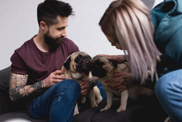 tattooed couple playing with pugs at home - Foto, Bild