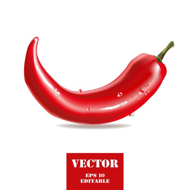 Red chili pepper stylized vector illustration - Vector, Image