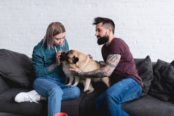 tattooed couple playing with dogs at home - Foto, imagen
