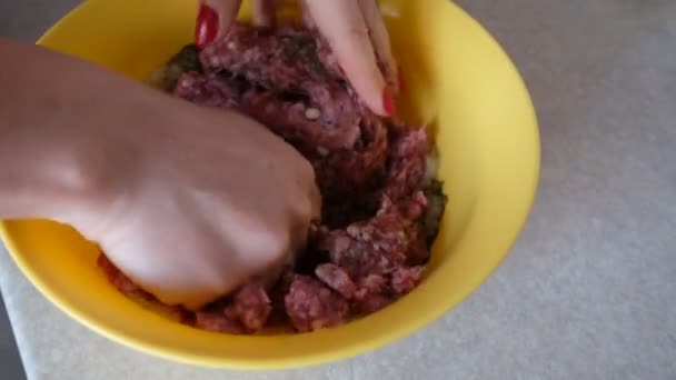 Kobieta gotowania mięsa w domu - Materiał filmowy, wideo