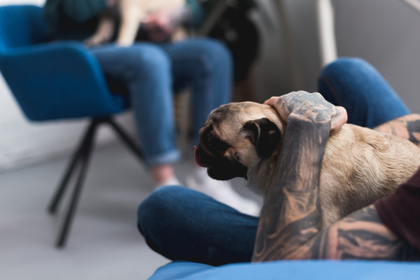 imagen recortada de pareja tatuada con cachorros en casa
 - Foto, imagen