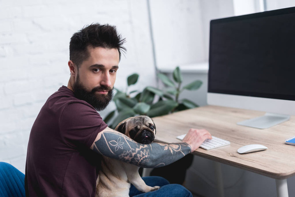 tattooed handsome man holding pug and sitting at table with computer at home - Foto, Imagem