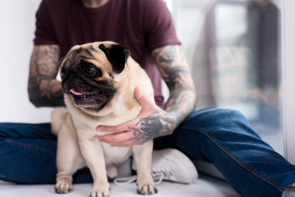 cropped image of tattooed man hugging pug at home - Foto, Imagem