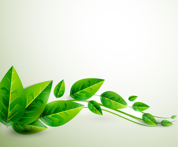 Зеленые листья Природа Вектор летит листья абстрактного фона
 - Вектор,изображение