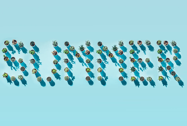 κάτοψη του καλοκαιριού λέξη από πράσινες γλάστρες με φυτά στο μπλε - Φωτογραφία, εικόνα