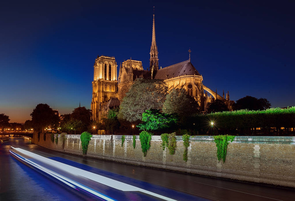 katedrála Notre dame v noci - Fotografie, Obrázek