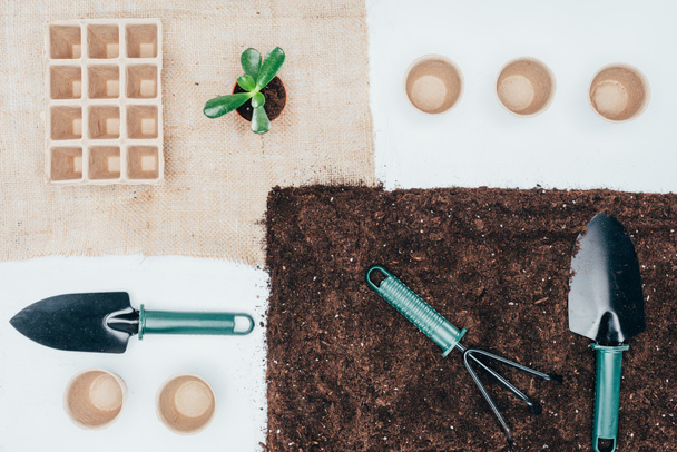 vista superior de macetas verdes, macetas vacías, tierra y herramientas de jardinería en gris
   - Foto, imagen