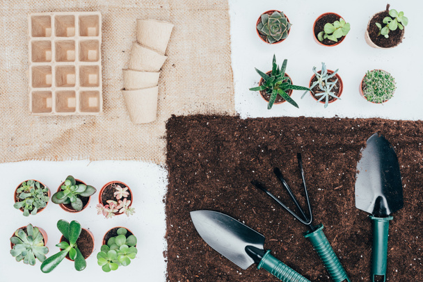 Κάτοψη των πράσινων φυτών σε γλάστρες, άδειο γλάστρες, χώμα και εργαλεία κηπουρικής σε γκρι   - Φωτογραφία, εικόνα