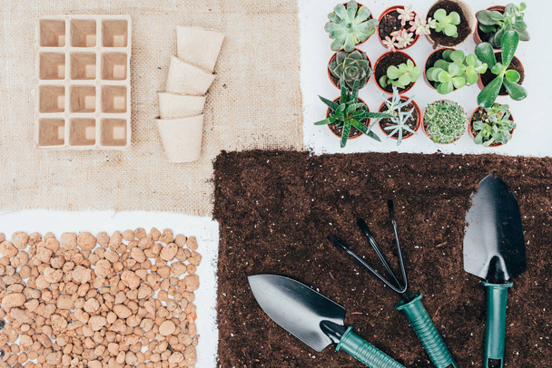 κάτοψη του πράσινου γλάστρες με φυτά, άδειο γλάστρες, χώμα, πέτρες και εργαλεία κηπουρικής σε γκρι  - Φωτογραφία, εικόνα