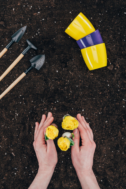 pessoa plantando belas flores verdes no solo e pequenas ferramentas de jardinagem com vasos de flores no chão
  - Foto, Imagem