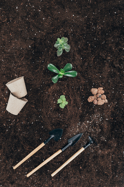 bovenaanzicht van mooie groene planten in de bodem, bloempotten en tuingereedschap - Foto, afbeelding