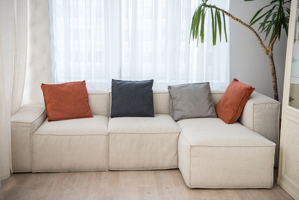 Couch mit Kissen in verschiedenen Farben und Pflanze nebenan im modernen Wohnzimmer  - Foto, Bild