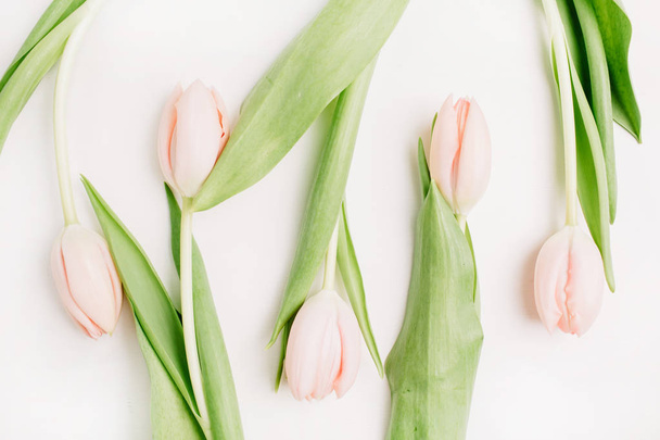 Pink tulip flowers on white background. Flat lay, top view. Pale fashion flatlay. - Foto, Imagen