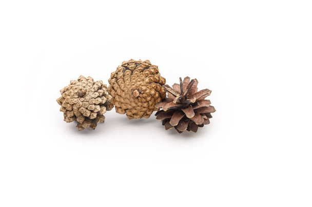 Pine cones on a white background - Foto, afbeelding