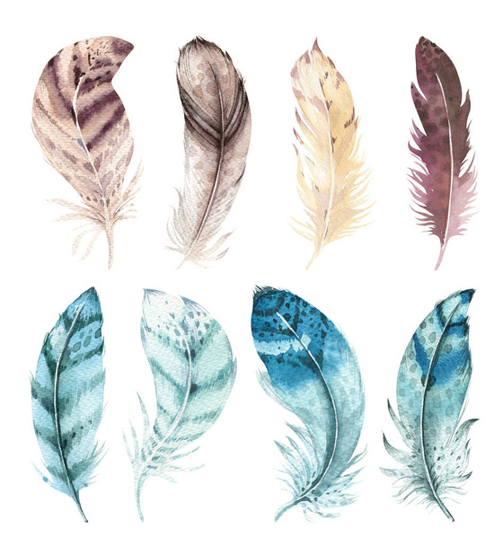 Hand drawn watercolor vibrant feather set. Boho style. illustration isolated on white. Bird fly feathers design for invitation, wedding card.Rustic feathers Bright colors. - Φωτογραφία, εικόνα