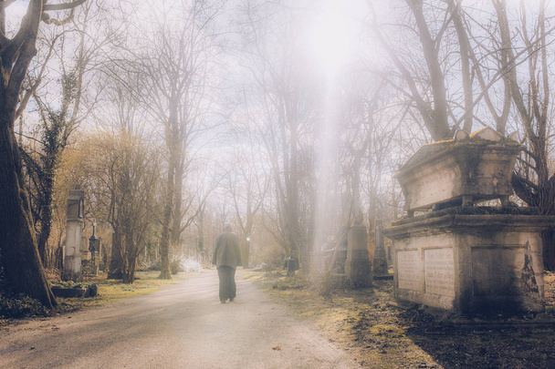 mężczyzna spacer na stary cmentarz ścieżki w czasie słonecznym na cmentarzu w Munich Niemcy  - Zdjęcie, obraz