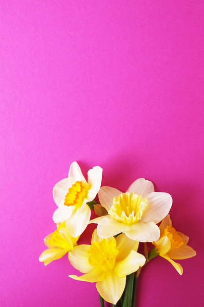 Tarjous minimalistinen kevään kukkia koostumus tekstuuri pinnalla. Kaunis naisellinen kasvi koristelu loma-onnittelukortti. Kesä, kesä, kevät, maaliskuu huhtikuu, kesäkuu heinäkuu. Hyvää äitienpäivää.
 - Valokuva, kuva