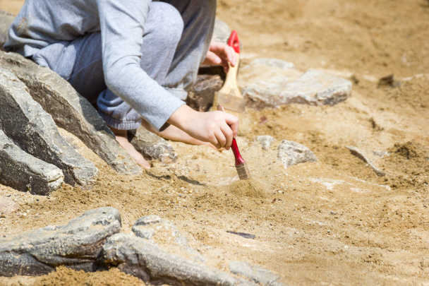 Bambini che imparano, Escavazione di dinosauri simulazione di fossili nel parco
.  - Foto, immagini