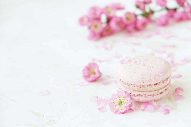 Traditional French blueberry strawberry cranberry macaroons dessert biscuits with beautiful flowers arrangement on white gray concrete textured background table top. Tasty but unhealthy food. - Fotografie, Obrázek