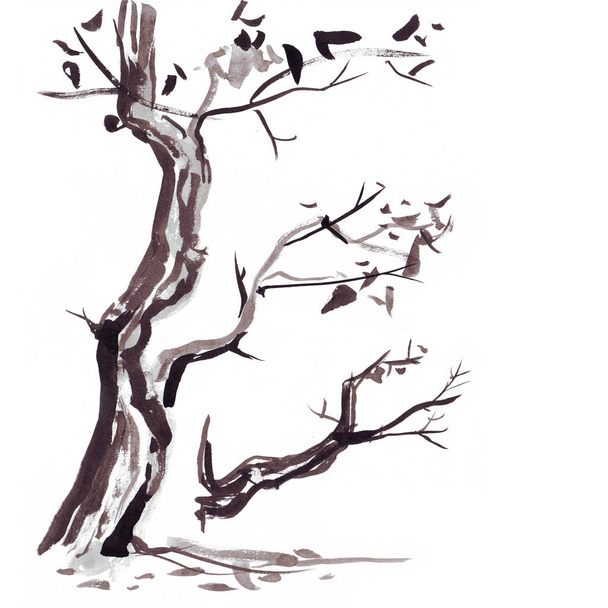 和風で木の枝。水彩の手絵画イラスト - 写真・画像