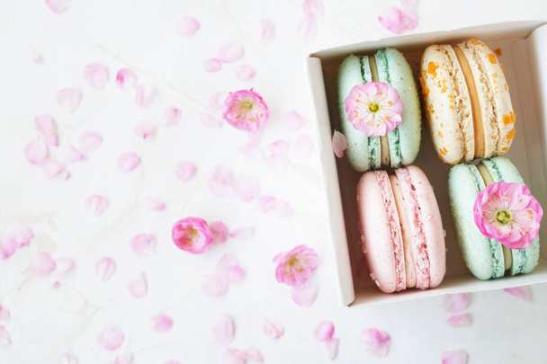 Traditional French blueberry strawberry cranberry macaroons dessert biscuits with beautiful flowers arrangement on white gray concrete textured background table top. Tasty but unhealthy food. - Φωτογραφία, εικόνα