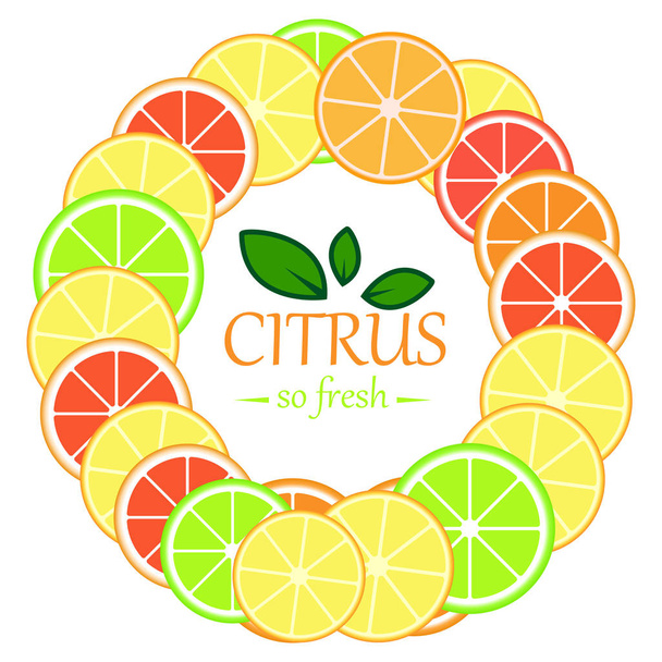citrus so fresh - Photo, Image