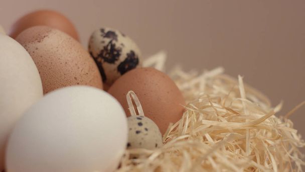 Nest mit einem anderen Ei. Ostereier - Foto, Bild